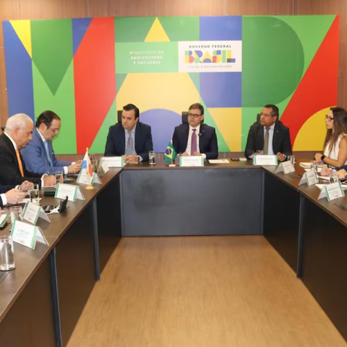 Pardini & Asociados Image