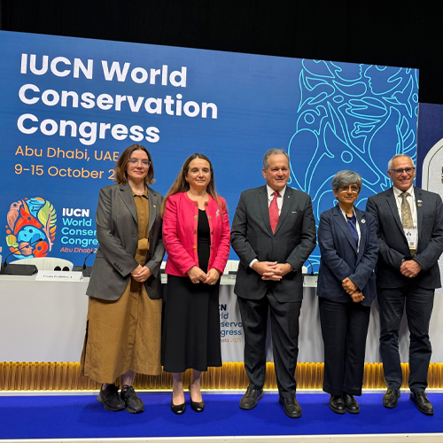 Pardini & Asociados Image