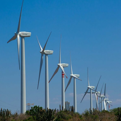 Pardini & Asociados Image