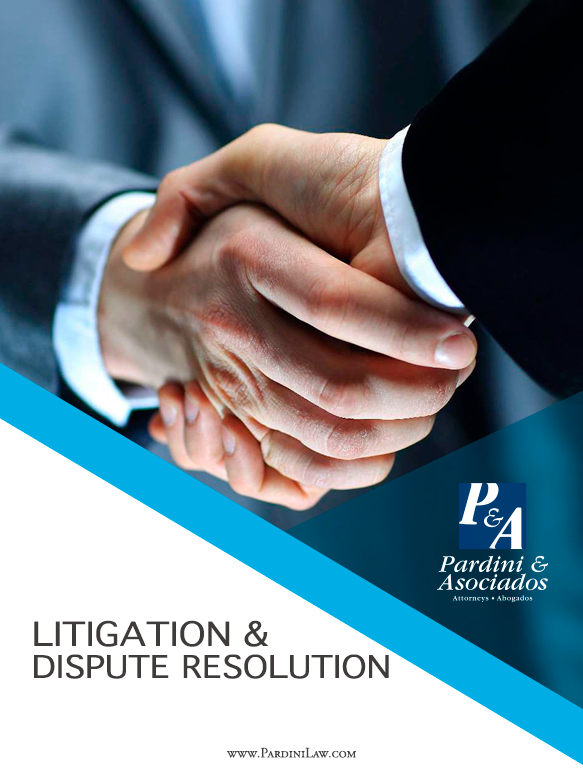 Pardini & Asociados Image