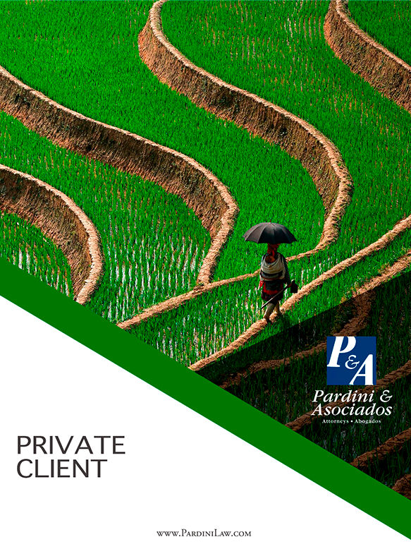 Pardini & Asociados Image