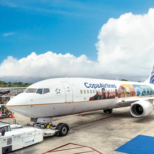 Pardini & Asociados Image