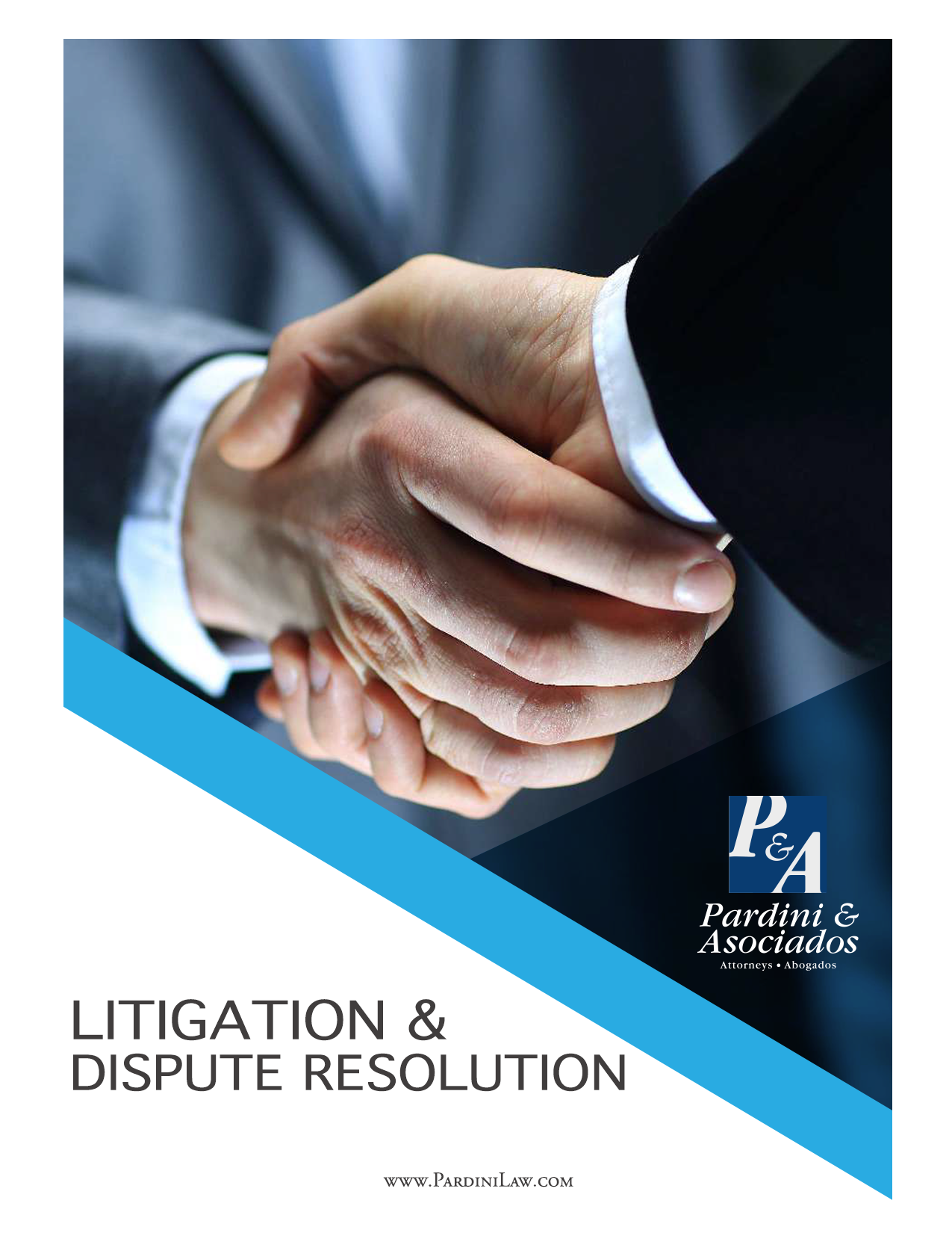 Pardini & Asociados Image