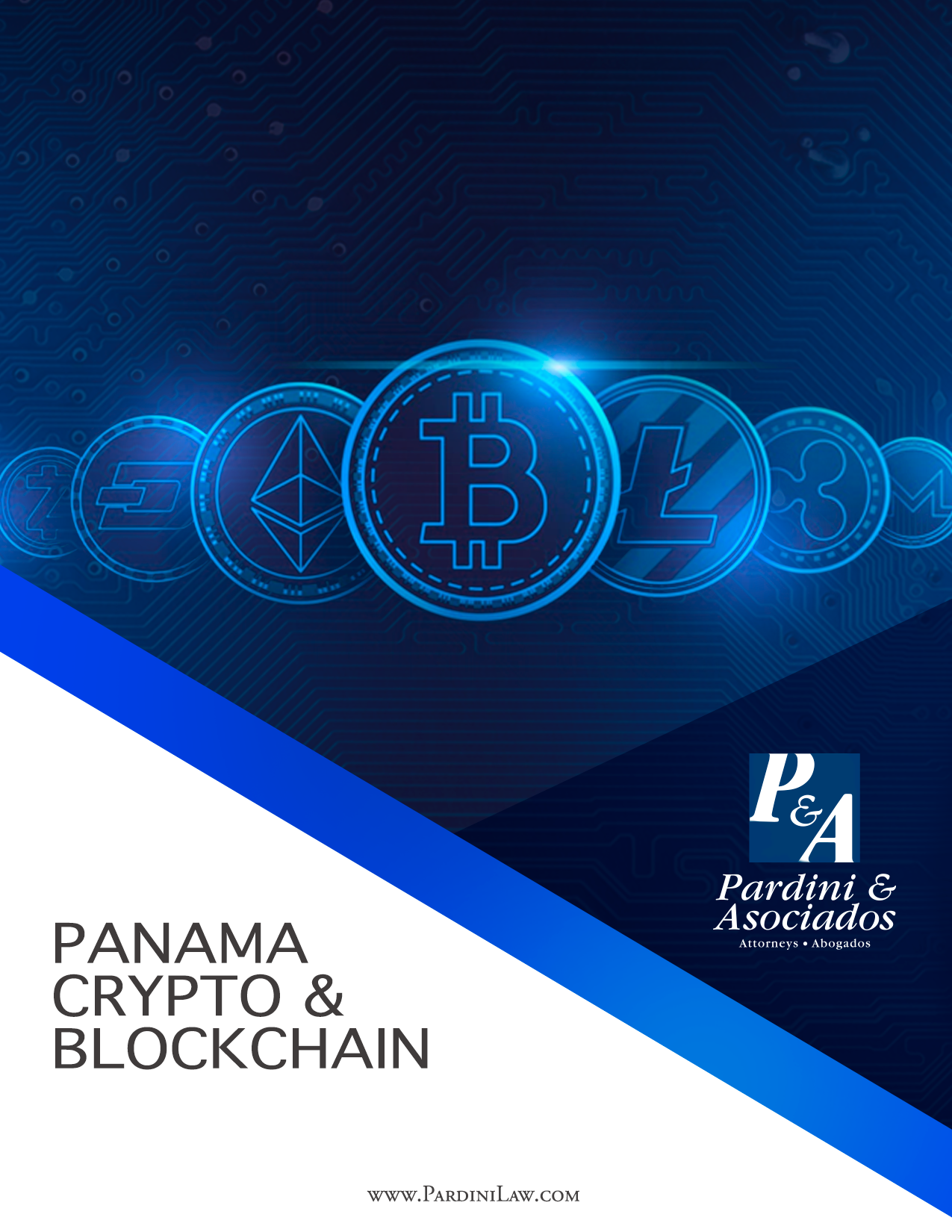 Pardini & Asociados Image 