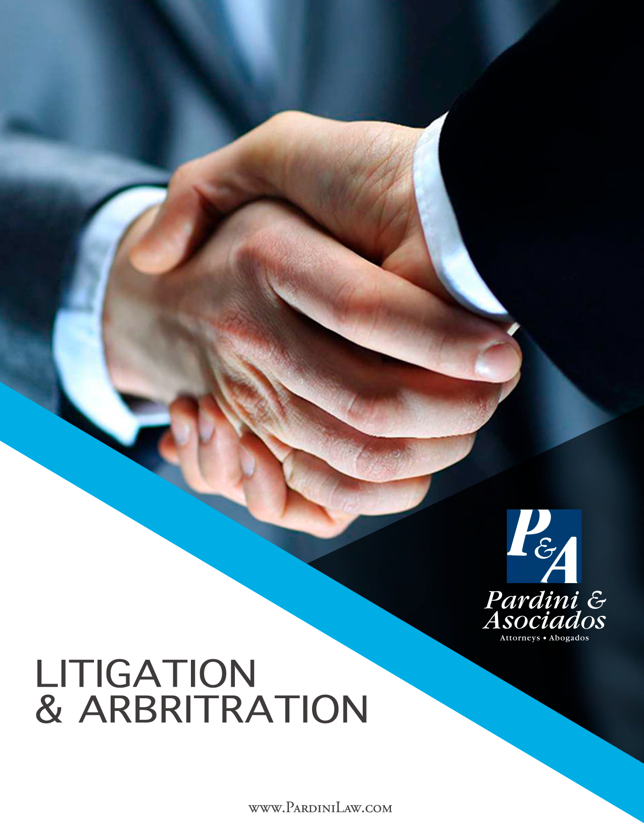 Pardini & Asociados Image