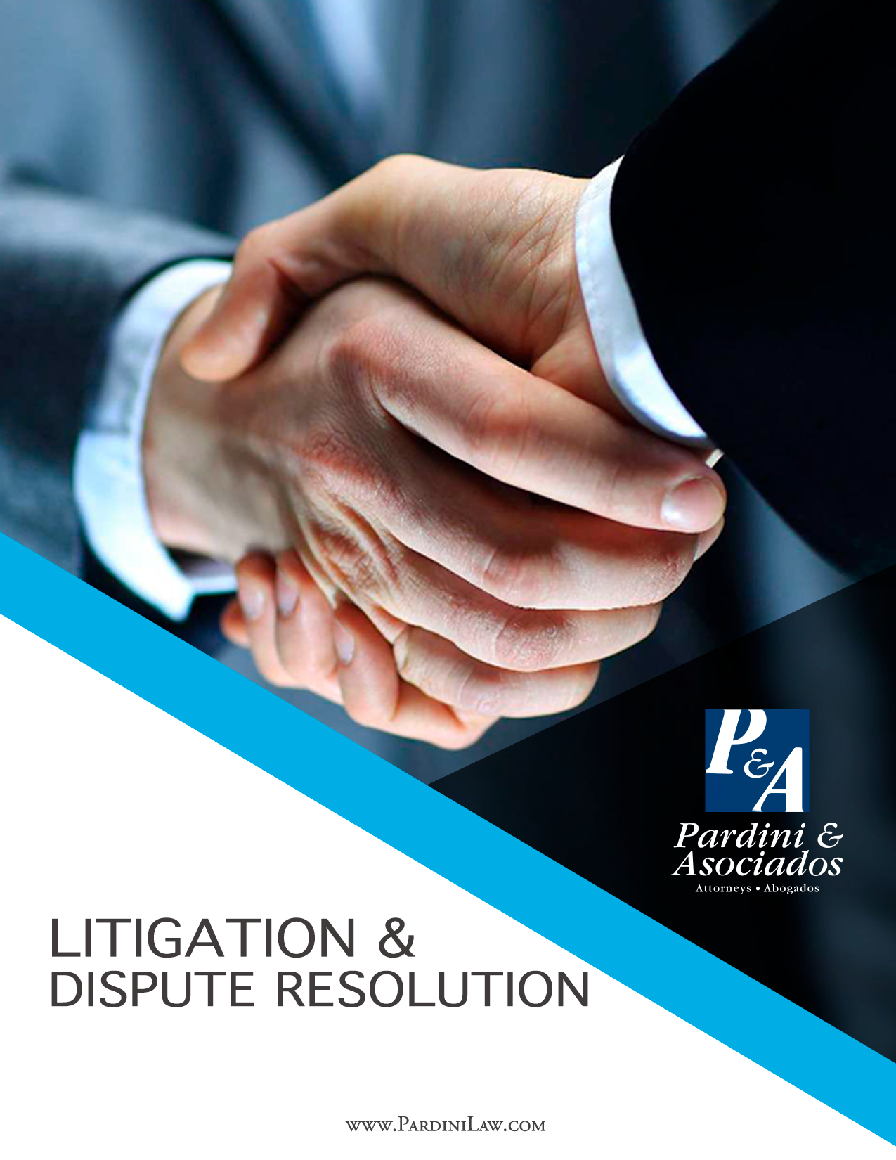 Pardini & Asociados Image